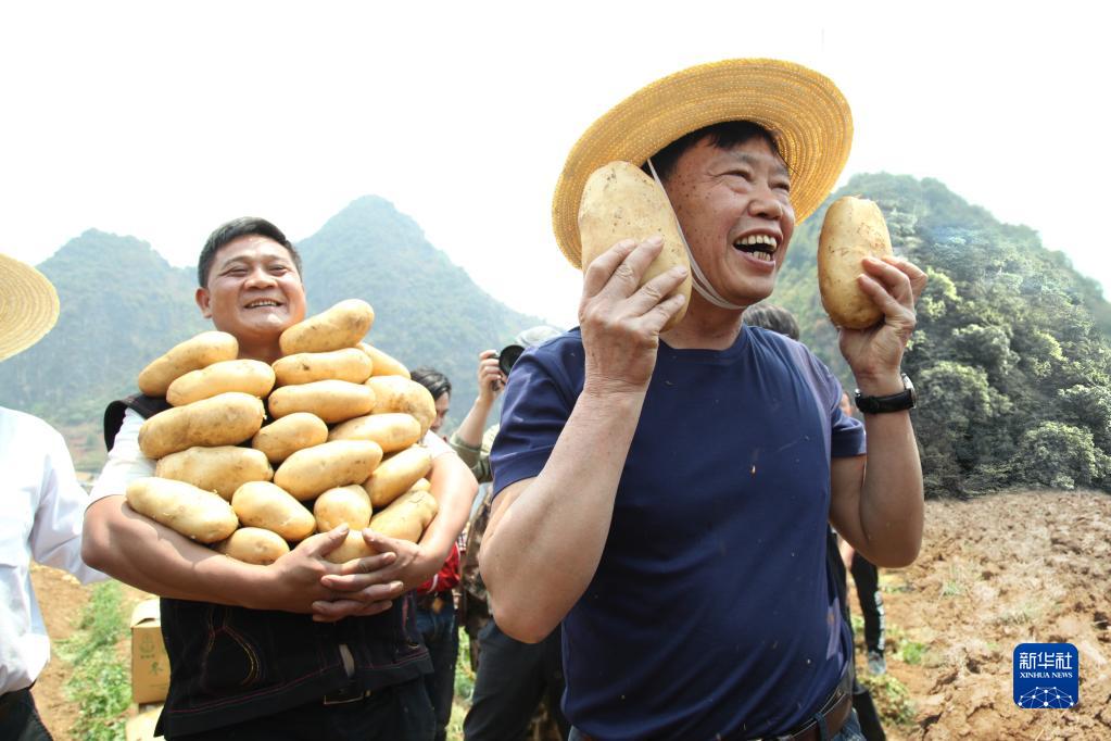 奮斗百年路 啟航新征程·黨旗在基層一線高高飄揚(yáng)丨“農(nóng)民院士”朱有勇：把論文寫在大地上