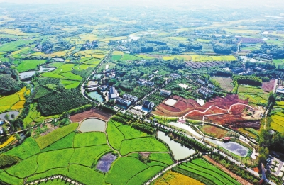 你好，小康丨光山縣東岳村：田園多彩 電商下鄉(xiāng)