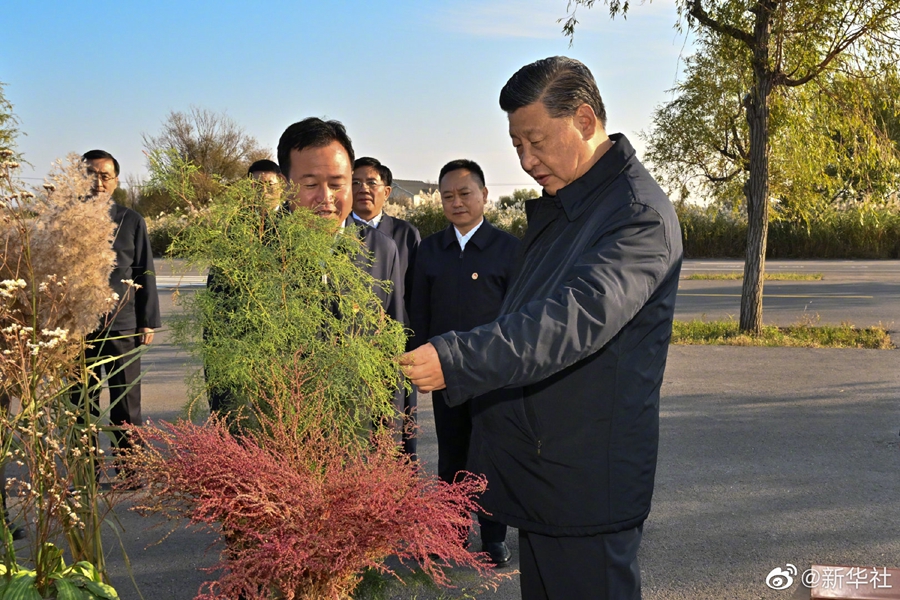 習(xí)近平在山東東營考察黃河入海口