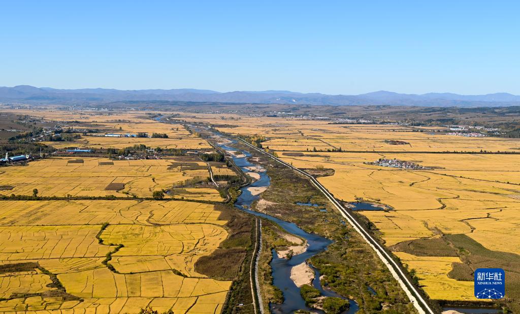 在希望的田野上—— “東北糧倉”讓“中國飯碗”端得更牢