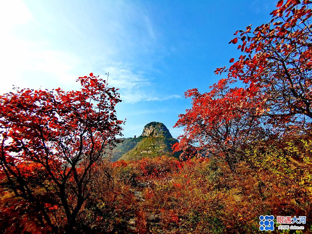 春意闌珊綠未減 山間十月秋色滿 