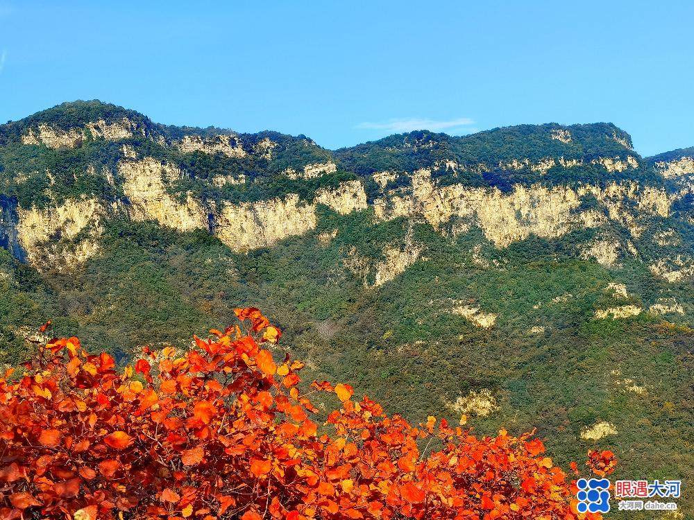 春意闌珊綠未減 山間十月秋色滿 