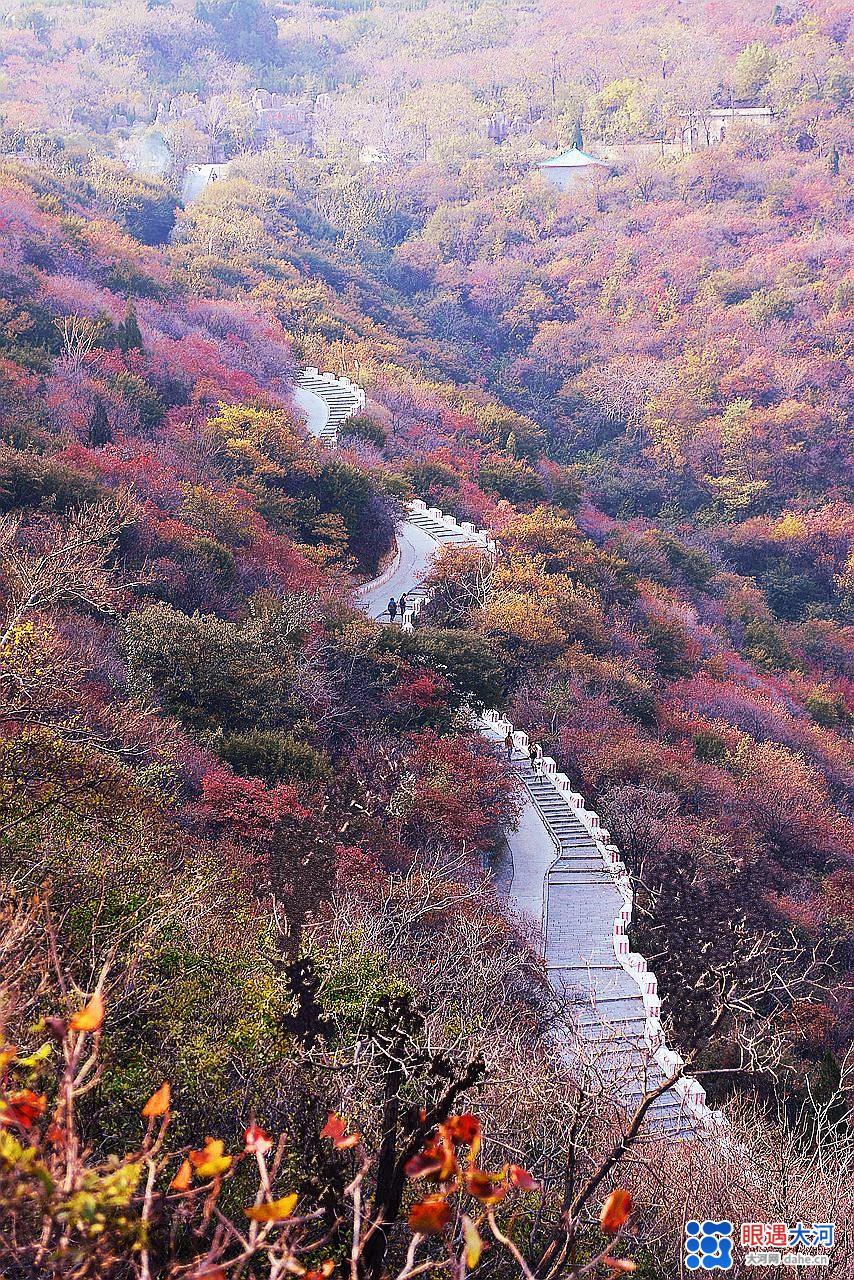 醉美紅葉秋染太行