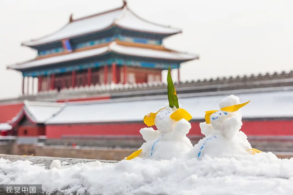 今日大雪｜人間至此 共你白頭