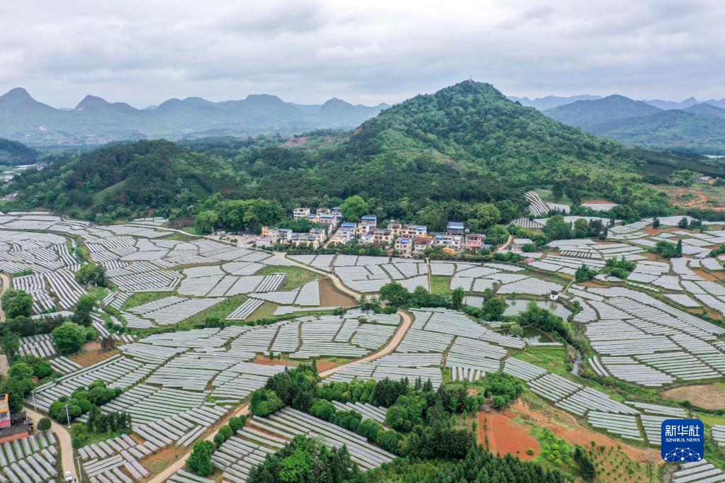 傳承優(yōu)良作風(fēng) 奮進(jìn)復(fù)興征程——2021年以習(xí)近平同志為核心的黨中央推進(jìn)作風(fēng)建設(shè)紀(jì)實(shí)