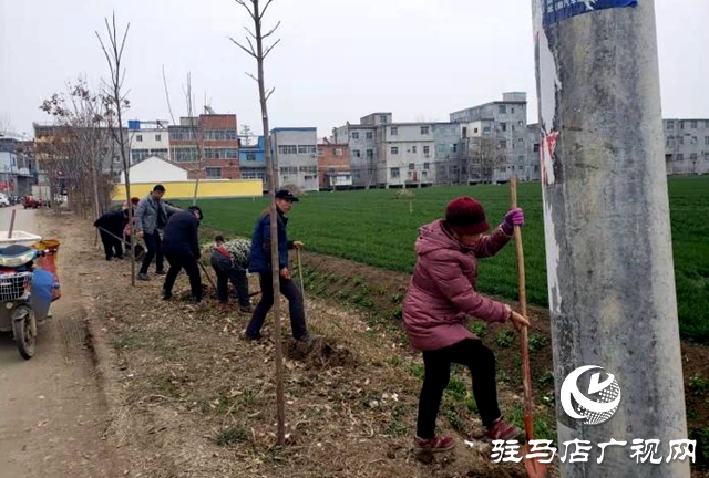 新蔡縣化莊鄉(xiāng)：植樹(shù)造林添新綠