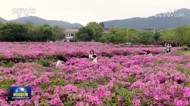 【總書記與我們在一起】端牢中國飯碗兜好民生底線