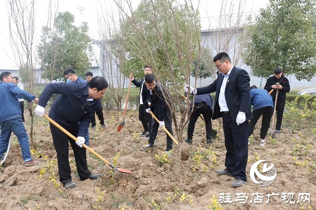 駐馬店弘康環(huán)保公司舉行植樹活動