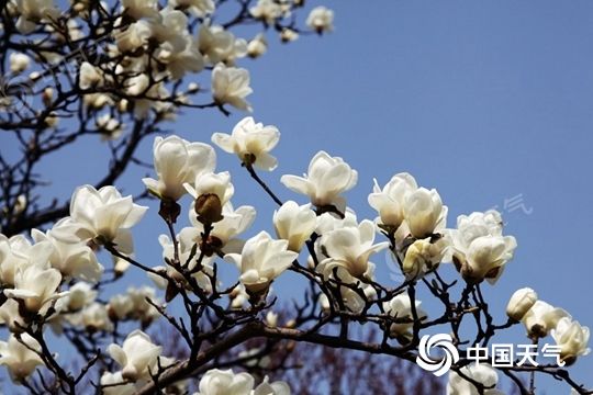 注意！冷空氣來了，部分地區(qū)降溫可達(dá)12℃以上