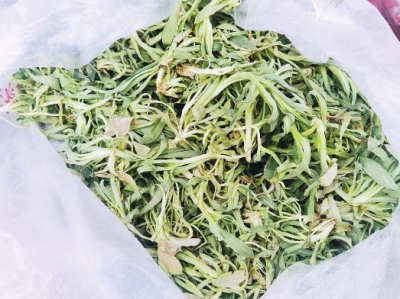 時(shí)令野菜走進(jìn)超市 哪些新鮮野菜可嘗？快收好這份野菜食譜