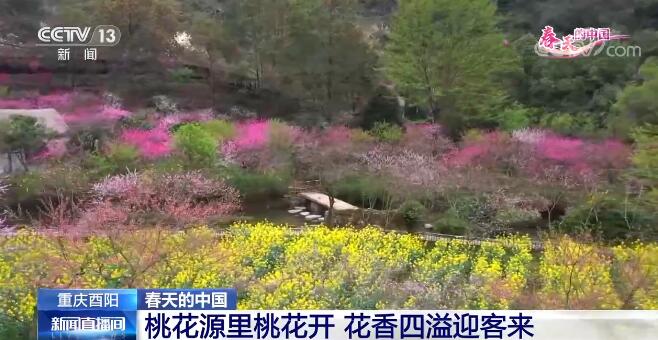 春天的中國 | 以花興旅 “花海經(jīng)濟(jì)”推動鄉(xiāng)村振興