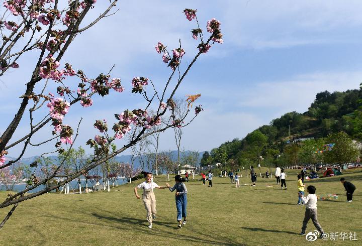 清明節(jié)假期國內(nèi)旅游出游超7500萬人次