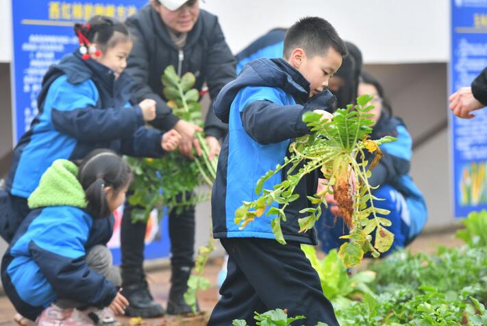 孩子們，上勞動(dòng)課了！——聚焦中小學(xué)新版勞動(dòng)課幾個(gè)關(guān)注點(diǎn)