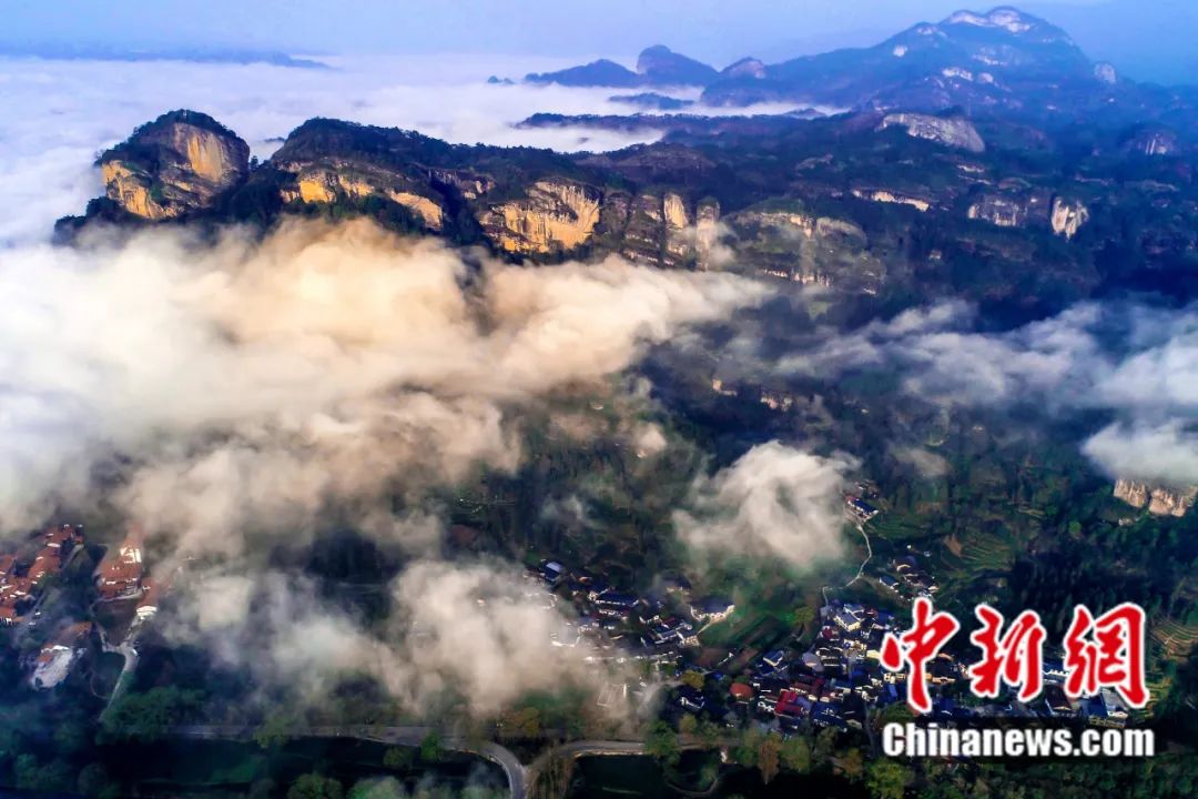 東西問丨李振基：保護(hù)生物多樣性，中國虞衡制度告訴了我們什么？