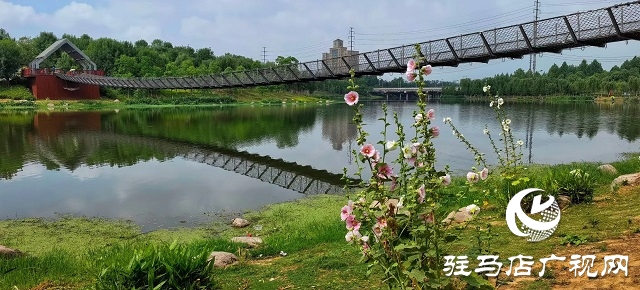 雨后的濱河公園