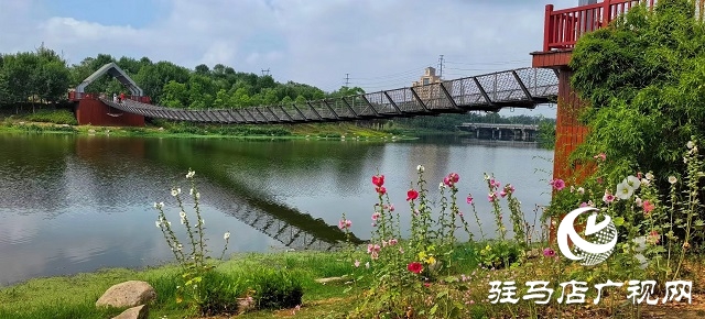 雨后的濱河公園