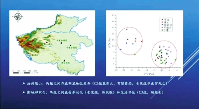 夏朝人種什么、吃什么、得什么?。?夏文化論壇揭示4000年前的居民身體狀況