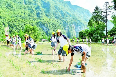 研學(xué)旅行走俏：在行走的課堂中，如何讀懂更大的世界