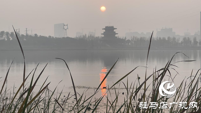 駐馬店市人民公園：初冬美景惹人陶醉