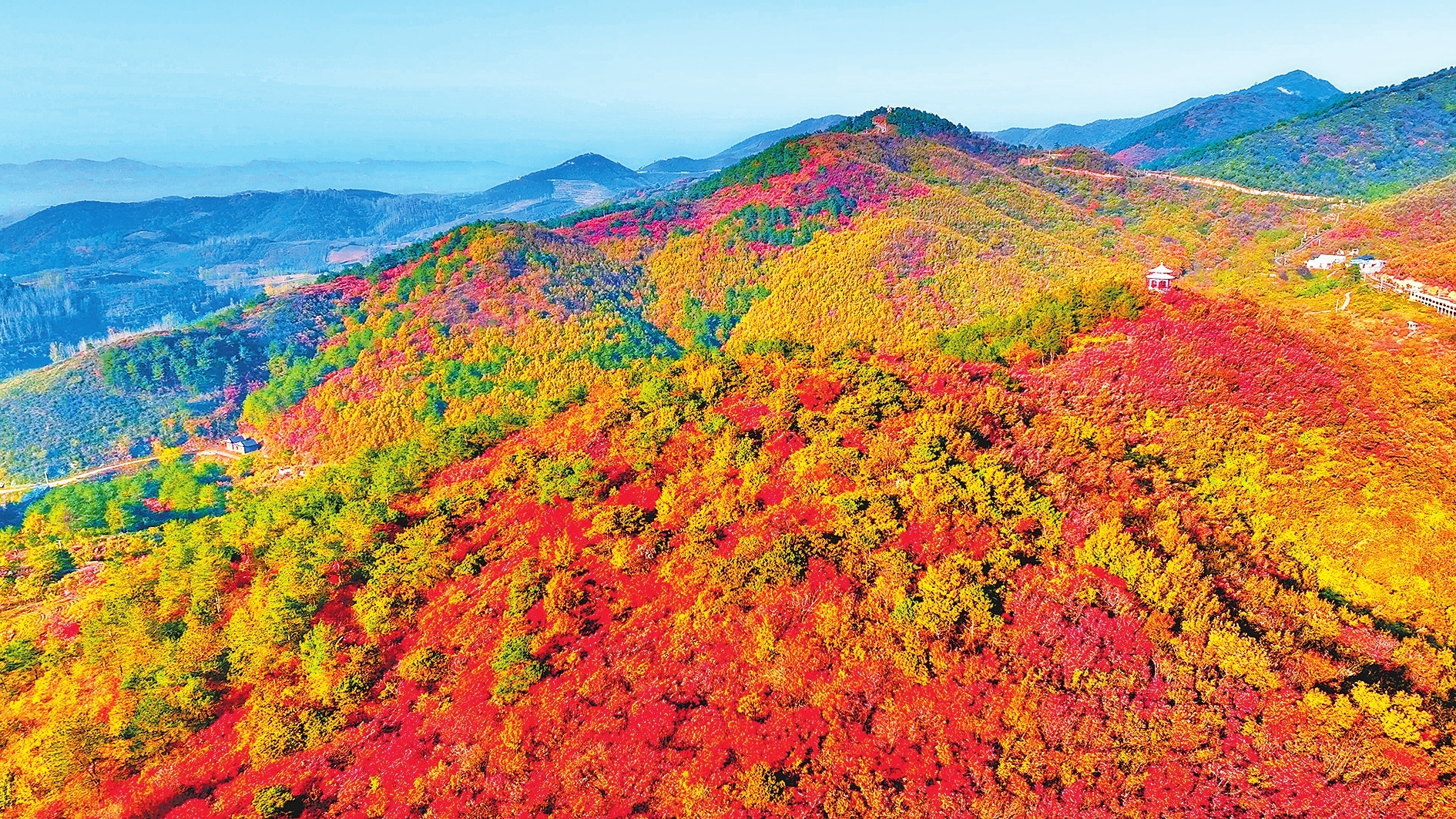 桐柏山 萬(wàn)千紅葉醉霜華