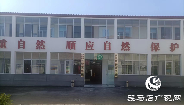 駐馬店：推進(jìn)標(biāo)準(zhǔn)化林業(yè)工作站 夯實(shí)基層林長制基礎(chǔ)