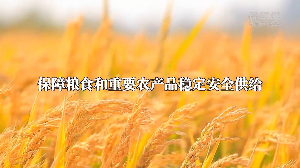 從中央農村工作會議看2023年“三農”工作這么干