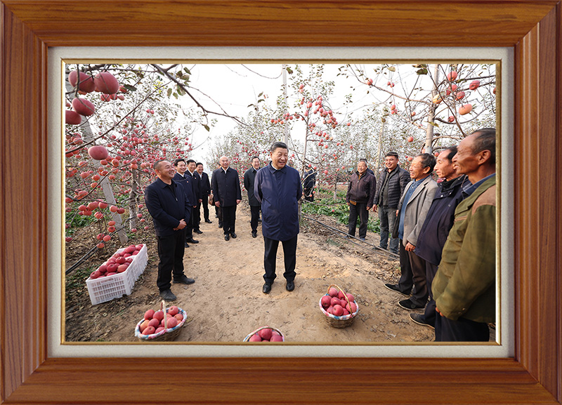 聆聽(tīng)新年賀詞，讀懂相框里的故事