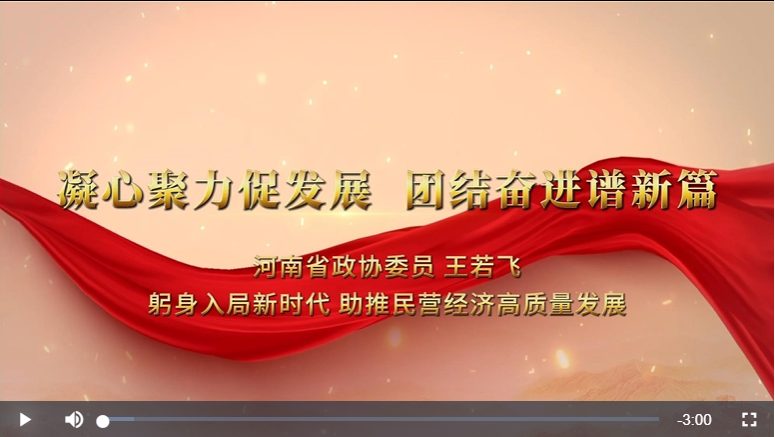 凝心聚力 團(tuán)結(jié)奮進(jìn)·委員篇丨省政協(xié)委員王若飛：躬身入局新時(shí)代 助推民營(yíng)經(jīng)濟(jì)高質(zhì)量發(fā)展