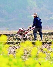 守護耕地，讓“希望的田野”春意盎然