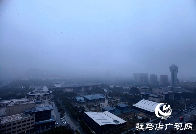 雨落天中 春意綻放