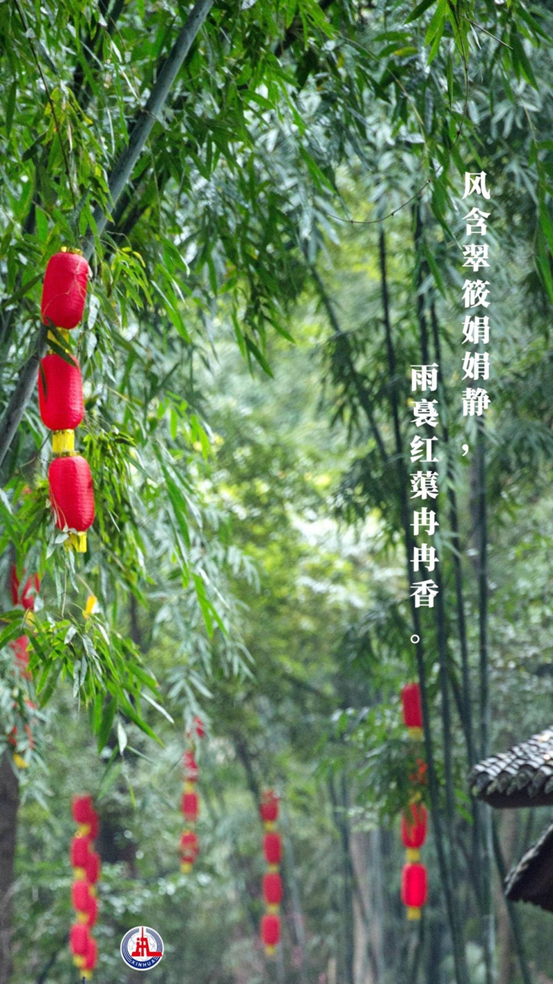 新華全媒+丨植樹(shù)傳統(tǒng)，從古詩(shī)中走來(lái)