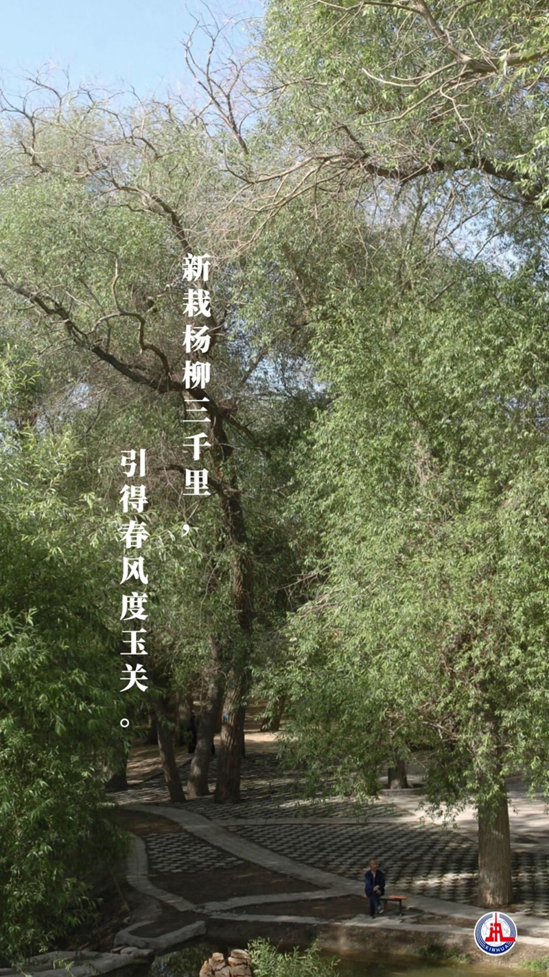 新華全媒+丨植樹(shù)傳統(tǒng)，從古詩(shī)中走來(lái)