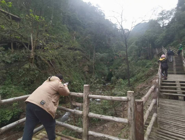 峨眉山猴子被拘留？假的！峨眉山猴子是國家二級保護(hù)動物