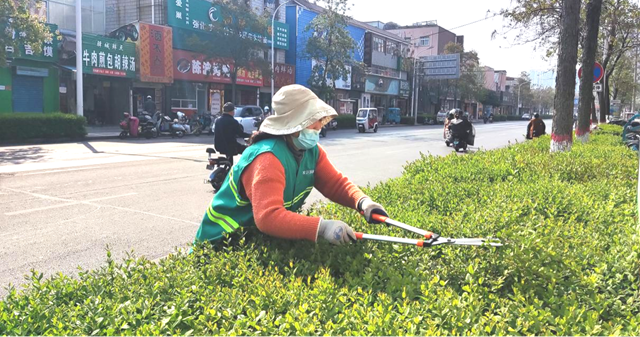 開發(fā)區(qū)城市管理局：提升園林景觀 助力創(chuàng)文沖刺