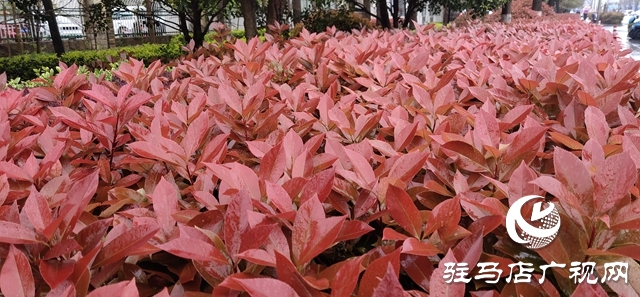  降溫、降雨！市民出行注意防范