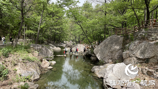 祥龍谷景區(qū)第三屆“山花節(jié)”暨旅行社采線啟動(dòng)儀式成功舉行