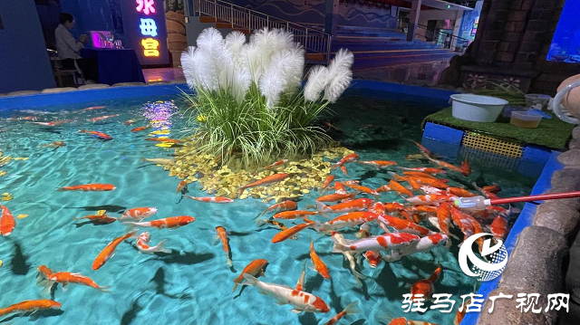 駐馬店市旅行社協(xié)會(huì)組織踩線漯河海洋館