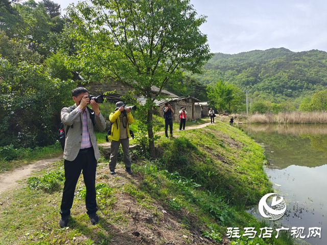 “走進(jìn)蓮塘古村落 與歷史悠然邂逅” ——駐馬店市青年攝影家協(xié)會(huì)開展攝影采風(fēng)活動(dòng)