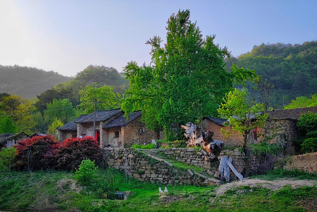 “走進(jìn)蓮塘古村落 與歷史悠然邂逅” ——駐馬店市青年攝影家協(xié)會開展攝影采風(fēng)活動