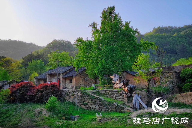 “走進(jìn)蓮塘古村落 與歷史悠然邂逅” ——駐馬店市青年攝影家協(xié)會(huì)開展攝影采風(fēng)活動(dòng)