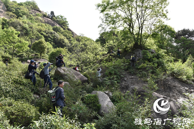 “走進(jìn)蓮塘古村落 與歷史悠然邂逅” ——駐馬店市青年攝影家協(xié)會(huì)開展攝影采風(fēng)活動(dòng)