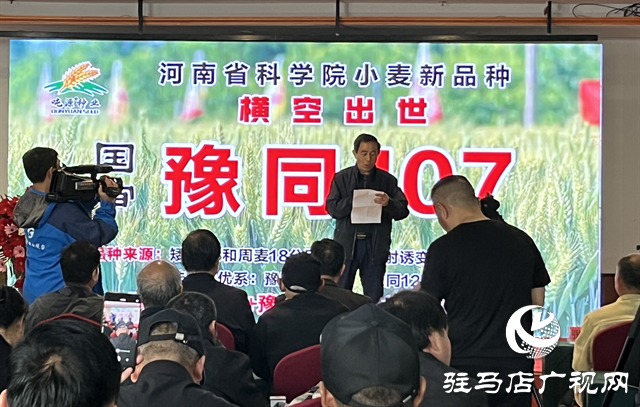 引領(lǐng)小麥新方向！噸源種業(yè)2023年豫同107觀摩會隆重召開