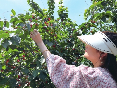 5·19中國旅游日將至，免票、半價......鄭州各大景區(qū)優(yōu)惠政策出爐