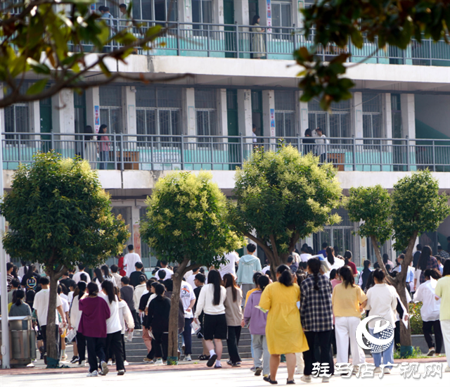  泌陽高考首日！多圖直擊……