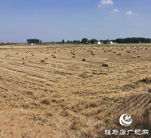 泌陽(yáng)縣泰山廟鎮(zhèn)：秸稈綜合利用 “生態(tài)包袱”變“綠色財(cái)富”