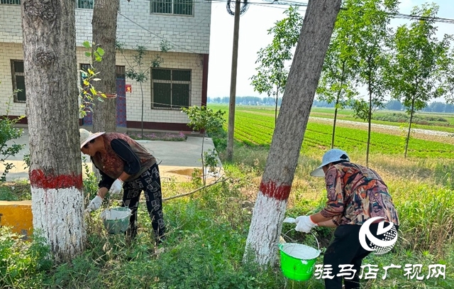 泌陽縣郭集鎮(zhèn)：大家齊動手 共建美家園