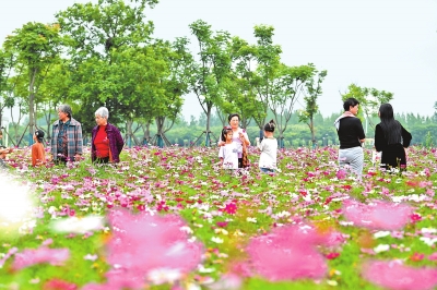 新時(shí)代 新征程 新偉業(yè)丨國際花園城市競賽，信陽憑啥“蟾宮折桂”