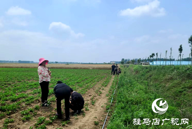 泌陽(yáng)縣泰山廟鎮(zhèn)：多措并舉開(kāi)展信訪矛盾排查化解工作