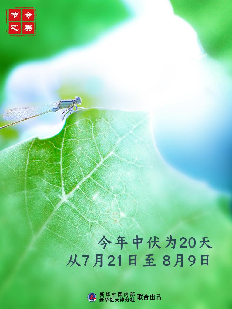 節(jié)令之美丨21日中伏：夏有三伏，熱在中伏