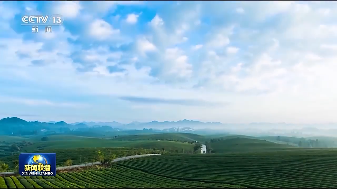 一草一木 念茲在茲 我們用綠色繪出美麗中國更新畫卷